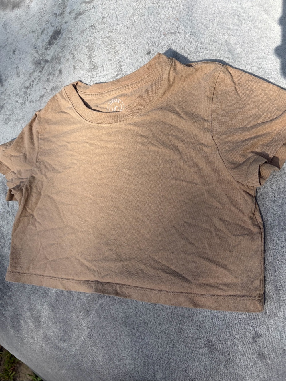 Urban Outfitters Cropped Tee - Taupe/Brown